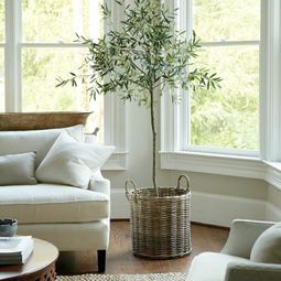 Beautiful garden design ideas indoors