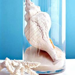 Beautify your home – seashells decoration