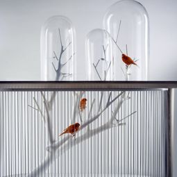 Bird Cage Bird of Archi Grégoire de Lafforest
