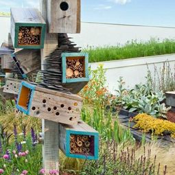 Build bird house itself – DIY instructions and 40 ideas for you