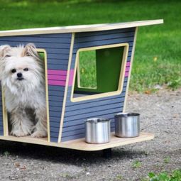 Cool caravans for Pets – Designer dog house on wheels