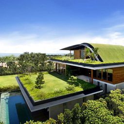 Cool garden design idea – green oasis on the roof terrace