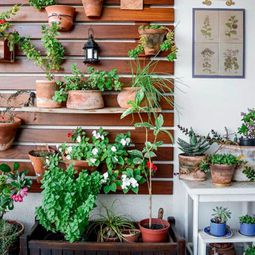 Create a vertical garden for your home by wooden panels