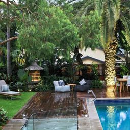 Create tropical mood with the right palm in the garden