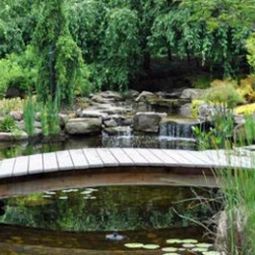Creating a garden pond &#8211; pictures and ideas for creative landscaping