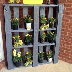 Creating a vertical garden and flower – DIY from Euro pallets