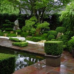 Creating a Zen garden – the main elements of the Japanese garden