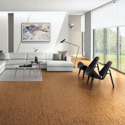 Disadvantages of cork flooring – Learn more from Cork and its properties