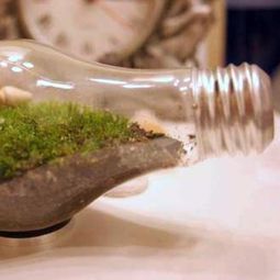 DIY decoration from bulbs – 120 craft ideas for old light bulbs