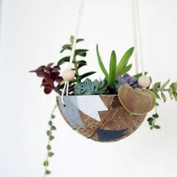 DIY hanging flower pot from coconut