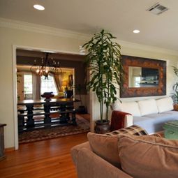 Dracaena properly maintain – Sit down big goals with this high African houseplant