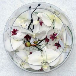 Elegant table decoration with orchid – tender and decoration: