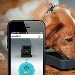 Feed the pet via smartphone