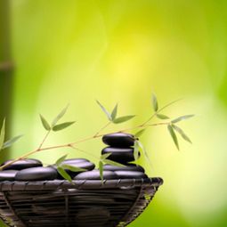 Feng Shui philosophy – you heal your home and your privacy