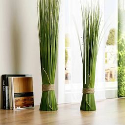 Feng Shui plants for harmony and positive energy in the living room