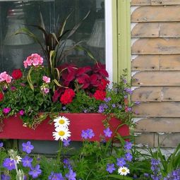 Flower boxes at the windows in different styles