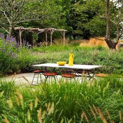 From the wilderness home: Elements eventful landscapes
