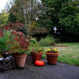 Garden design ideas for the upcoming fall season