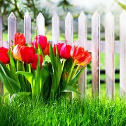 Garden fence design – 20 inspiring examples of self-made garden fences
