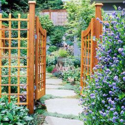 Garden paths and garden programs – Ideas for Landscaping