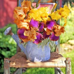 Great garden design with decoration of flower pots