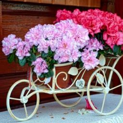 Great Ideas for creative flower pots