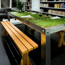 Green home accessories inspired ideas from nature