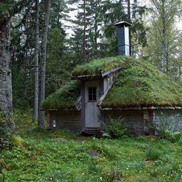 Green Roof Garden House – Exterior in Green