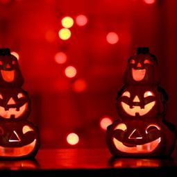 Halloween Decoration Ideas – immerse yourself in the festive atmosphere!