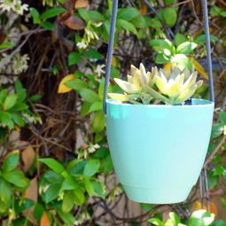 Hanging planters do it yourself &#8211; a DIY project for your garden