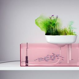 High-tech plant equipment