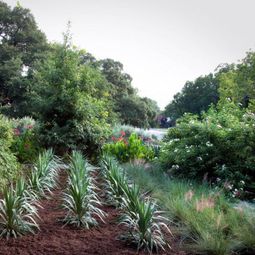 Landscaping and gardening in spring