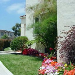 Landscaping for fire resistance – useful and practical tips