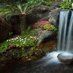 Landscaping with rocks and water – small Japanese garden