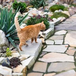 Landscaping with stones – 10 wonderful ideas