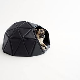Luxury Dog Accessories by Nendo for PEN