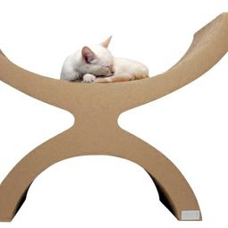 Modern accessories for your pets