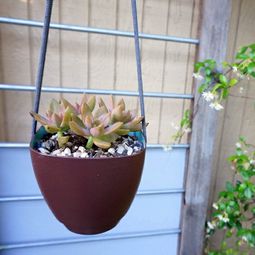 Modern DIY grid and garden accessories – easy craft ideas for gardeners