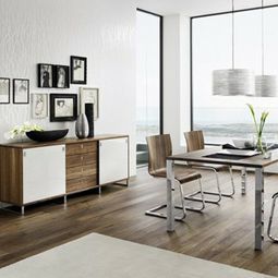 Modern furnishings in the dining room