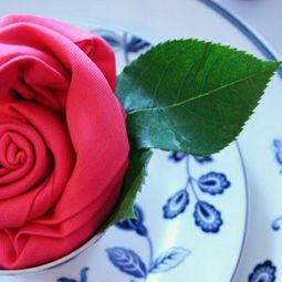 Napkin Folding – manual in pictures