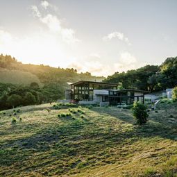 Organic Architecture – Natural and sculptural features