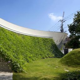 Organic House with curved vertical greening