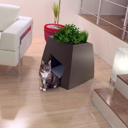 Original Animal House combined with Planter