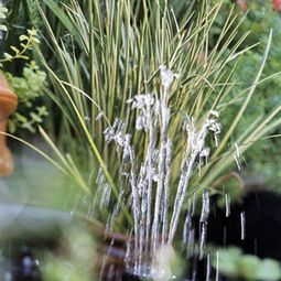 Patio Tour: Classic courtyard with pond and fountain