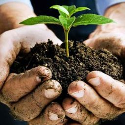 Perfect ground – a dream for the gardener