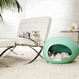 Pet Friendly Cat Furniture and Cat Trees