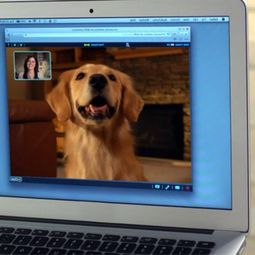 PetChatz webcam and Feeder