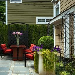 Plant encyclopedia – Outdoor plants for your shade areas