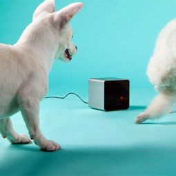 Play with your pet by your smartphone by PetCube