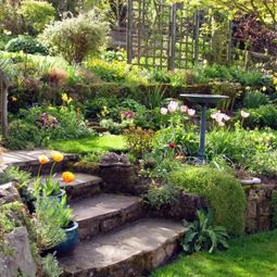 Spice deck and garden design by plants